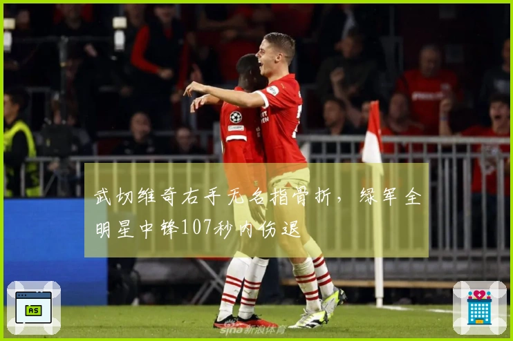 武切维奇右手无名指骨折，绿军全明星中锋107秒内伤退